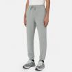 Pantaloni Dickies Mapleton della tuta unisex rif. DK0A4XIM