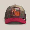 Cappello Goorin Bros Da Baseball Stallion unisex rif. 101-2698