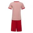 Set Adidas T-shirt e Pantaloncini con Logo Essentials da Bambina rif. H65789