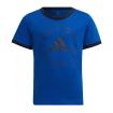 Set Adidas T-shirt e Pantaloncini con Logo Essentials da Bambino rif. HF1896
