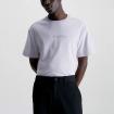 T-Shirt Calvin Klein sottile In Cotone Biologico da uomo rif. K10K109900
