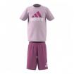 Set Adidas T-shirt e Pantaloncini con Logo Essentials da Bambino rif. HR5902