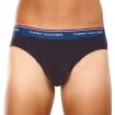 Confezione Slip 3 pack Tommy Hilfiger con Logo in Vita uomo rif. UM0UM03119-0VX