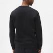 Felpa Dickies Beavertown Oakport girocollo con logo da uomo rif. DK0A4XCE