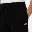 Pantaloni Dickies Mapleton della tuta unisex rif. DK0A4XIM
