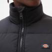 Giubbotto Giacca Dickies Waldenburg da uomo rif. DK0A4XP2